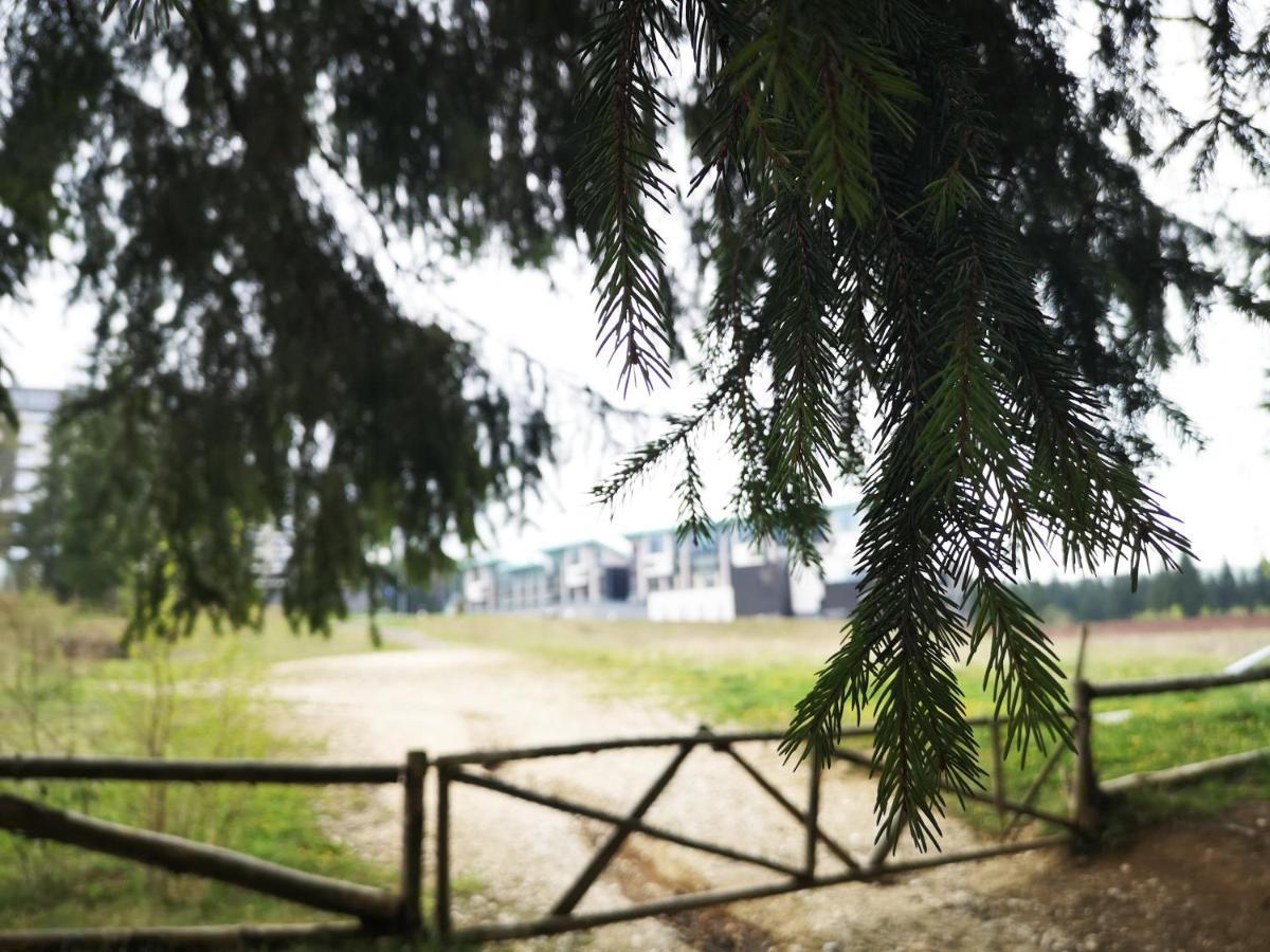 The Evergreen Nest - Silver Mountain Poiana Brașov Exterior foto