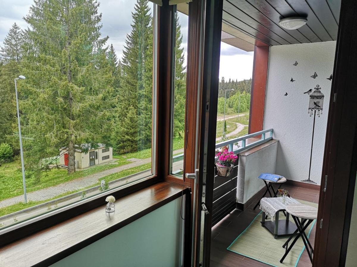 The Evergreen Nest - Silver Mountain Poiana Brașov Exterior foto