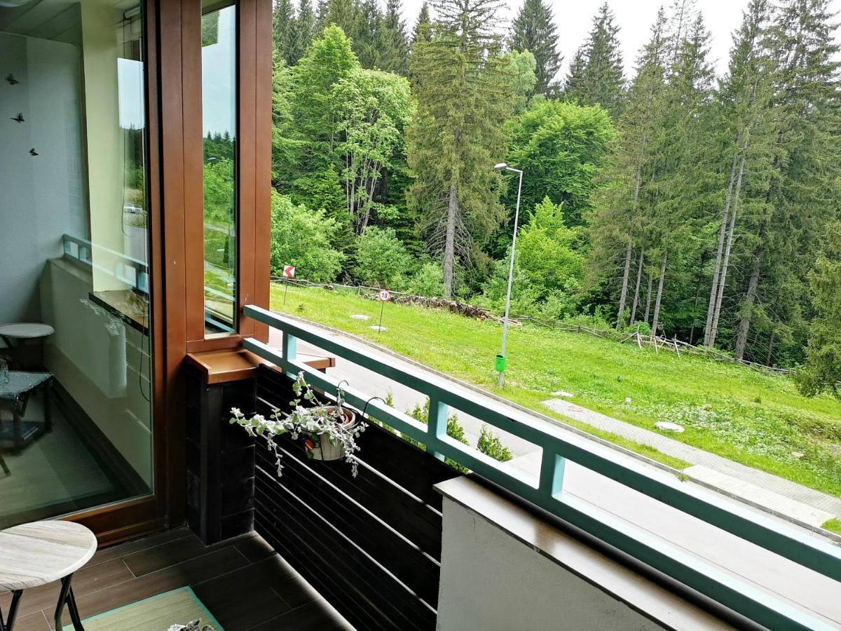 The Evergreen Nest - Silver Mountain Poiana Brașov Exterior foto