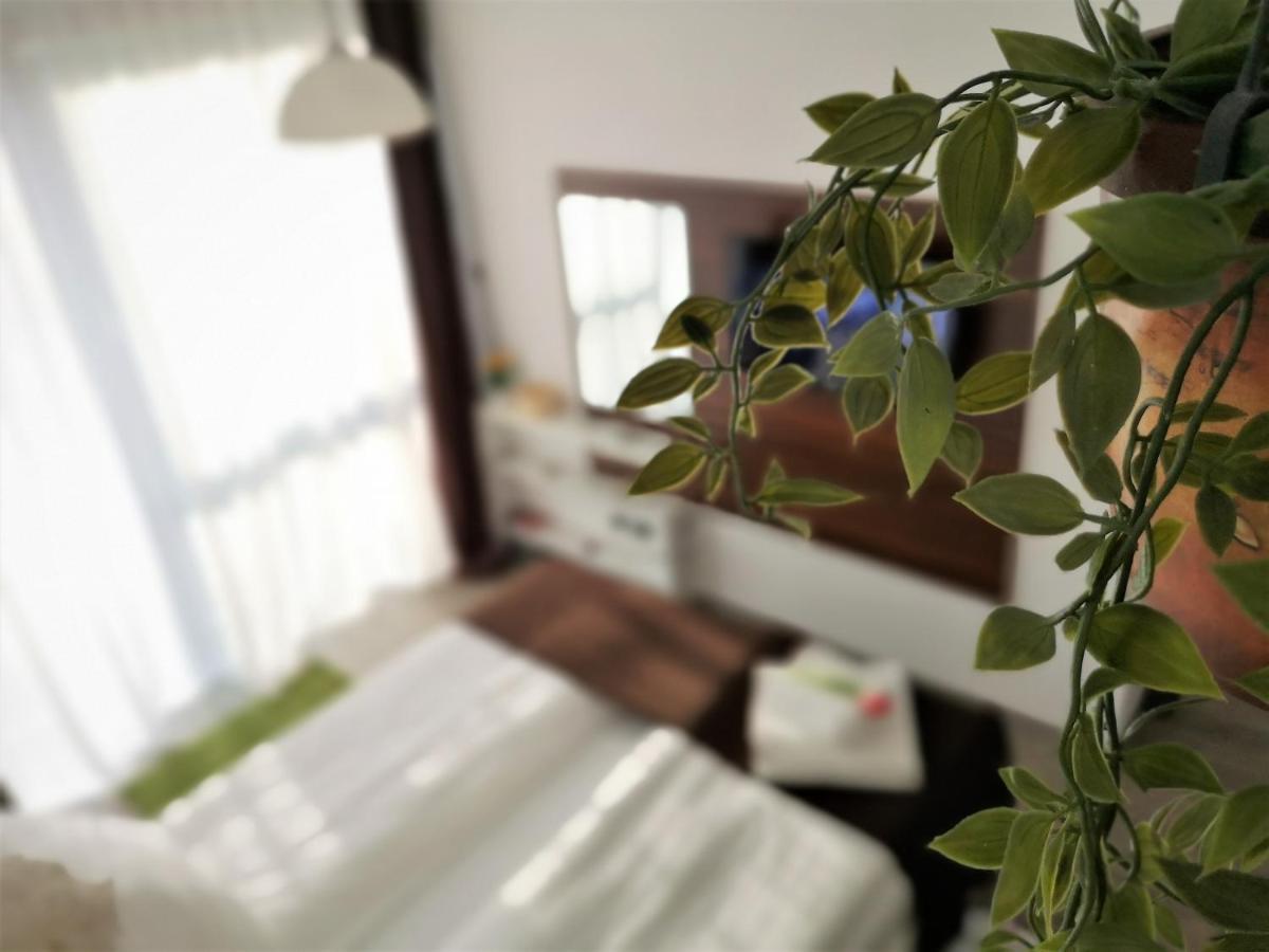 The Evergreen Nest - Silver Mountain Poiana Brașov Exterior foto